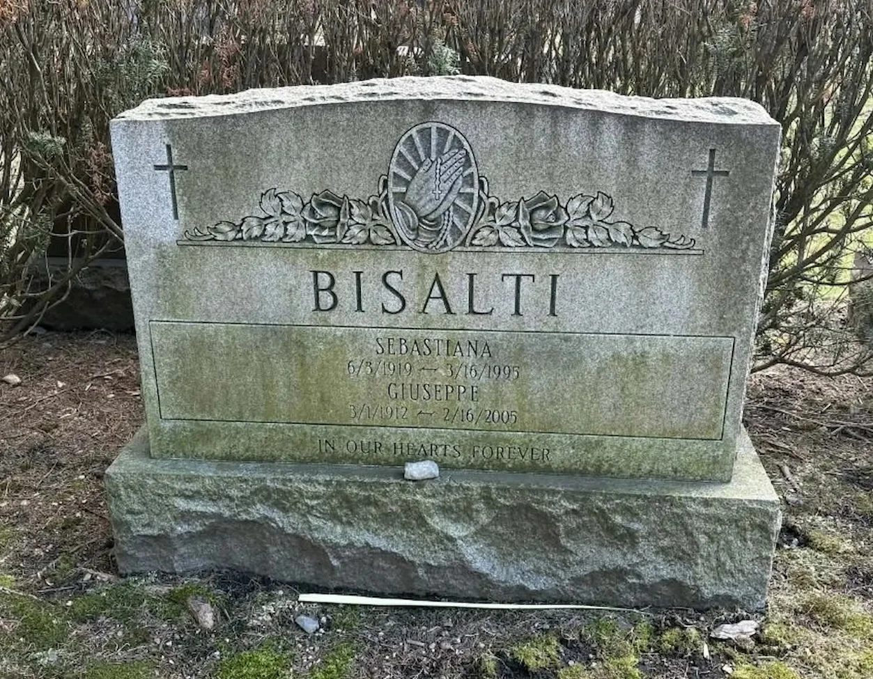 Gravestone before cleaning